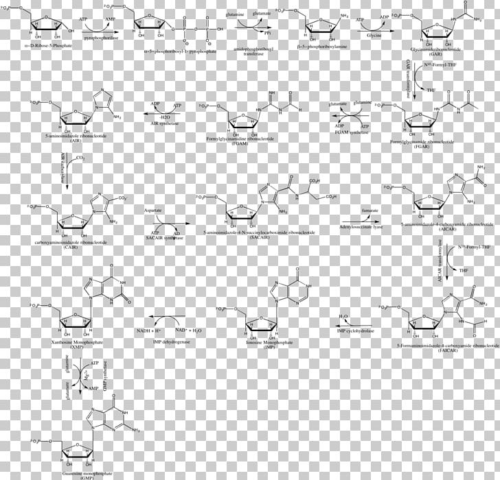 Paper White Point Sketch PNG, Clipart, Angle, Animal, Area, Black And White, Diagram Free PNG Download