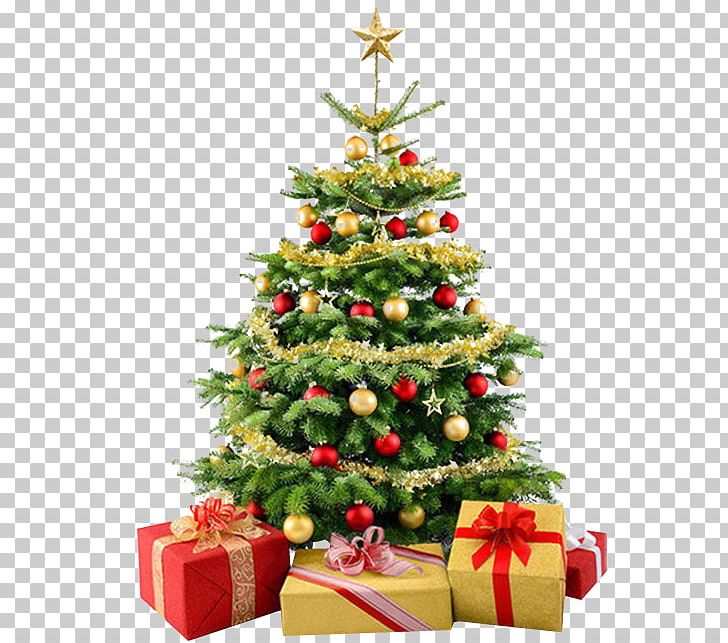 Stock Photography Christmas Tree PNG, Clipart, Christmas, Christmas Decoration, Christmas Lights, Christmas Ornament, Christmas Tree Free PNG Download
