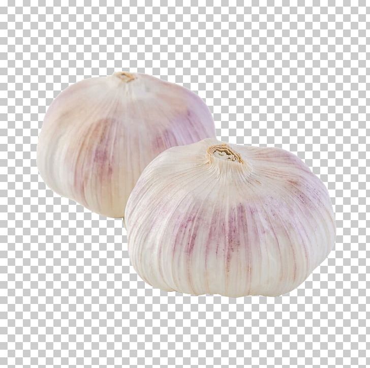 Garlic Shallot Ingredient Spice PNG, Clipart, Cartoon Garlic, Chili Garlic, Condiment, Download, Food Free PNG Download