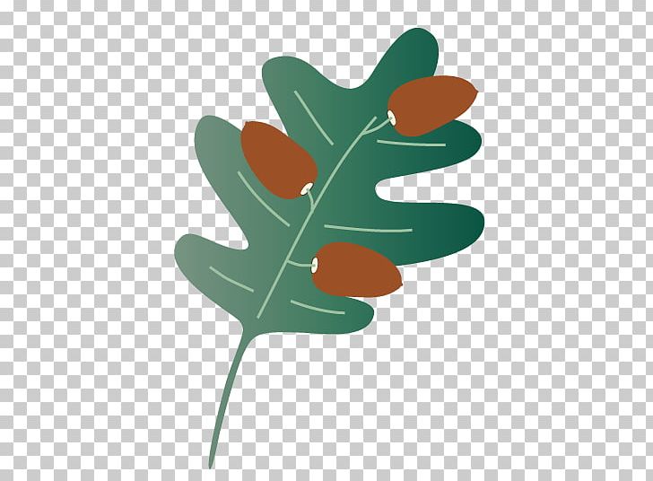 Leaf Plant Stem Tree Font PNG, Clipart, Leaf, Plant, Plant Stem, Tree Free PNG Download