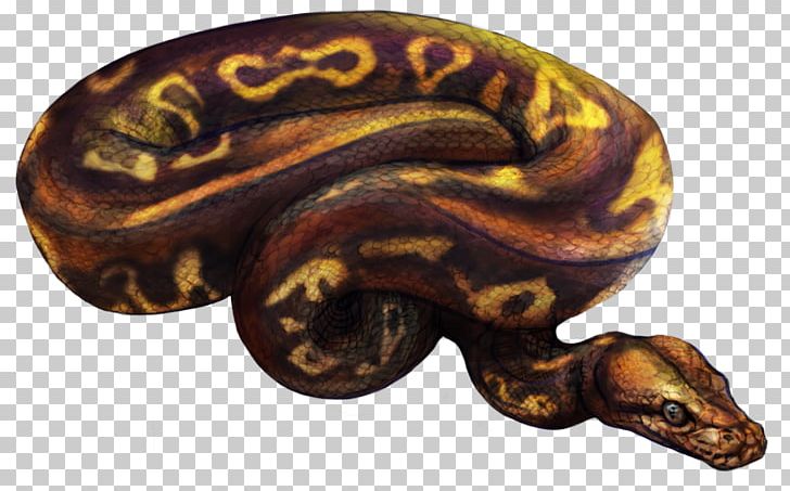 Boa Constrictor PNG, Clipart, Ball Python, Boa Constrictor, Boas, Others, Reptile Free PNG Download