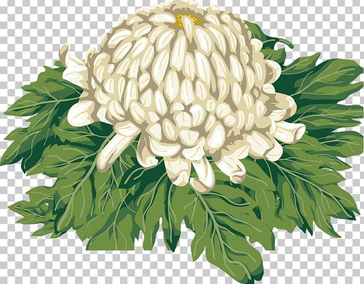 Chrysanthemum PNG, Clipart, Chrysanthemum, Chrysanthemum Tea, Chrysanths, Digital Image, Double Ninth Festival Free PNG Download