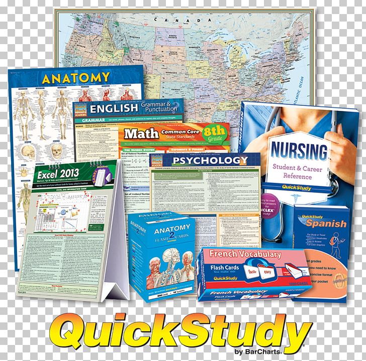 Study Skills Flashcard Information Anatomy Vocabulary PNG, Clipart, Advertising, Anatomy, Biochemistry, Biology, Business Free PNG Download