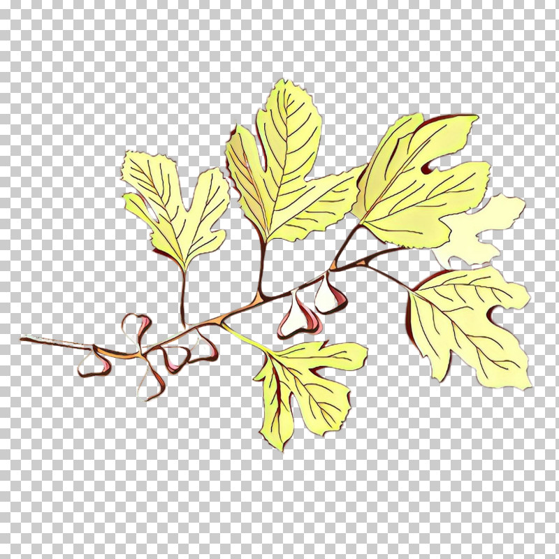 Plane PNG, Clipart, Branch, Flower, Leaf, Plane, Plant Free PNG Download