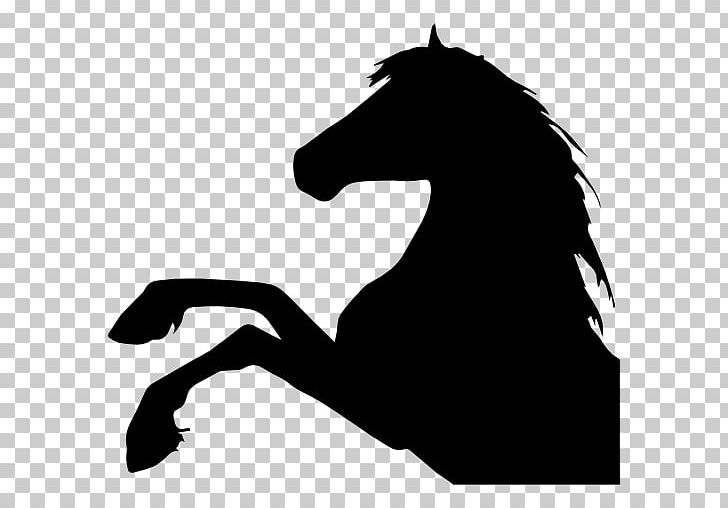 Horse Head Mask PNG, Clipart, Animals, Black, Black And White, Computer Icons, Draft Horse Free PNG Download