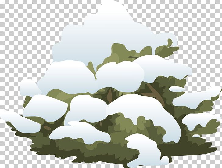 Shrub Snow PNG, Clipart, Branch, Computer Icons, Download, Grass, Leaf Free PNG Download