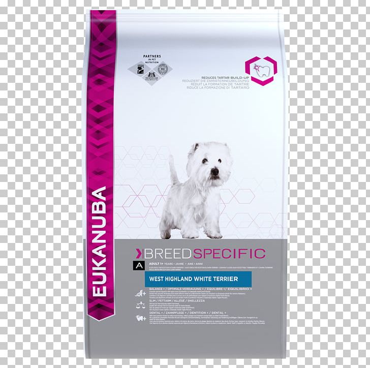 West Highland White Terrier Puppy Labrador Retriever Cat Eukanuba PNG, Clipart, Animals, Breed, Carnivoran, Cat, Dog Free PNG Download
