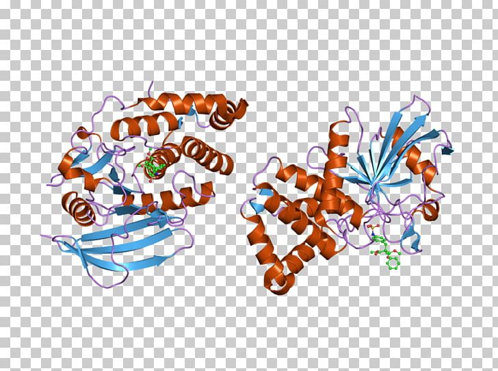 Art Museum PTPRB Protein Phosphatase PNG, Clipart, Art, Art Museum, Computer Wallpaper, Desktop Wallpaper, Domain Free PNG Download