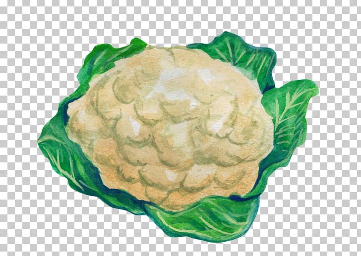 Cabbage Cauliflower Leaf Vegetable PNG, Clipart, Animaatio, Brassica Oleracea, Cabbage, Cartoon, Cauliflower Free PNG Download