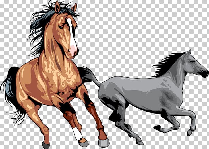 Mustang Wild Horse PNG, Clipart, Animals, Bridle, Encapsulated Postscript, Gallop, Gray Free PNG Download