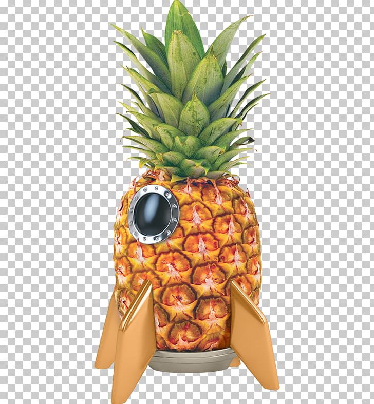Organic Food Fruit Pineapple PNG, Clipart, Agriculture, Ananas, Bowl, Bromeliaceae, Business Free PNG Download