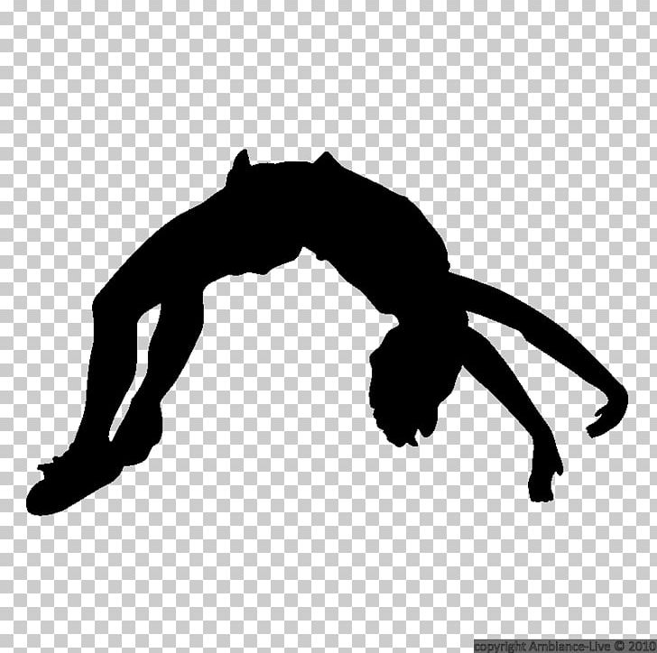 Silhouette Cheerleading Tumbling Gymnastics PNG, Clipart, Arm, Black, Black And White, Cartoon, Cheerleading Free PNG Download