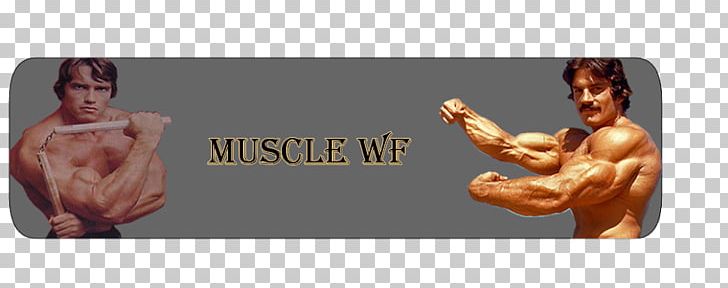 Bodybuilding Muscle United States Coach Shoulder PNG, Clipart, Abdomen, Addition, Arm, Bodybuilding, Brand Free PNG Download