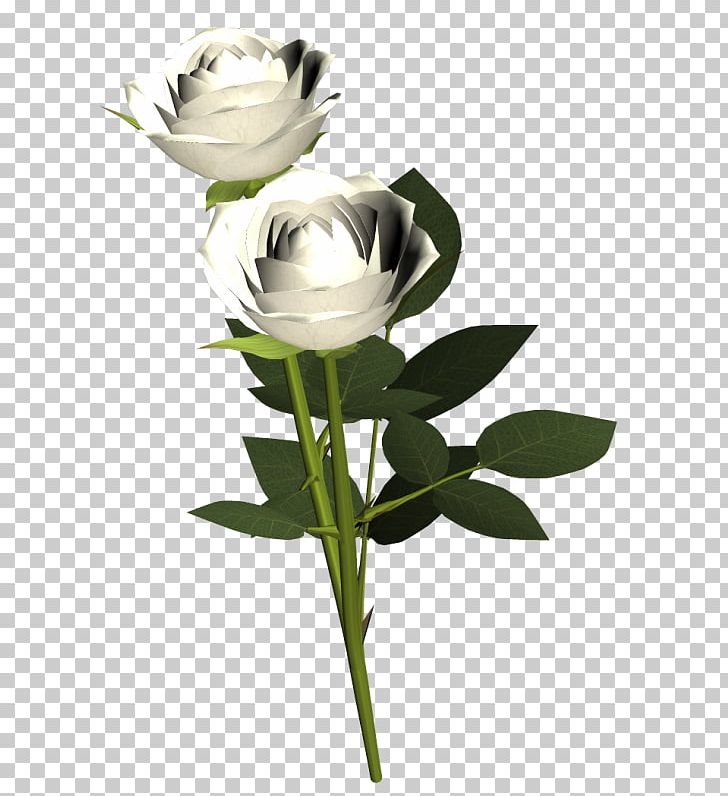 Garden Roses Flower PNG, Clipart, Bud, Clip Art, Cut Flowers, Depositfiles, Floral Design Free PNG Download
