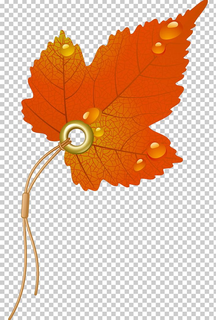 Autumn Leaf Color PNG, Clipart, Autumn Leaf Color, Butterfly, Drawing, Encapsulated Postscript, Flower Free PNG Download