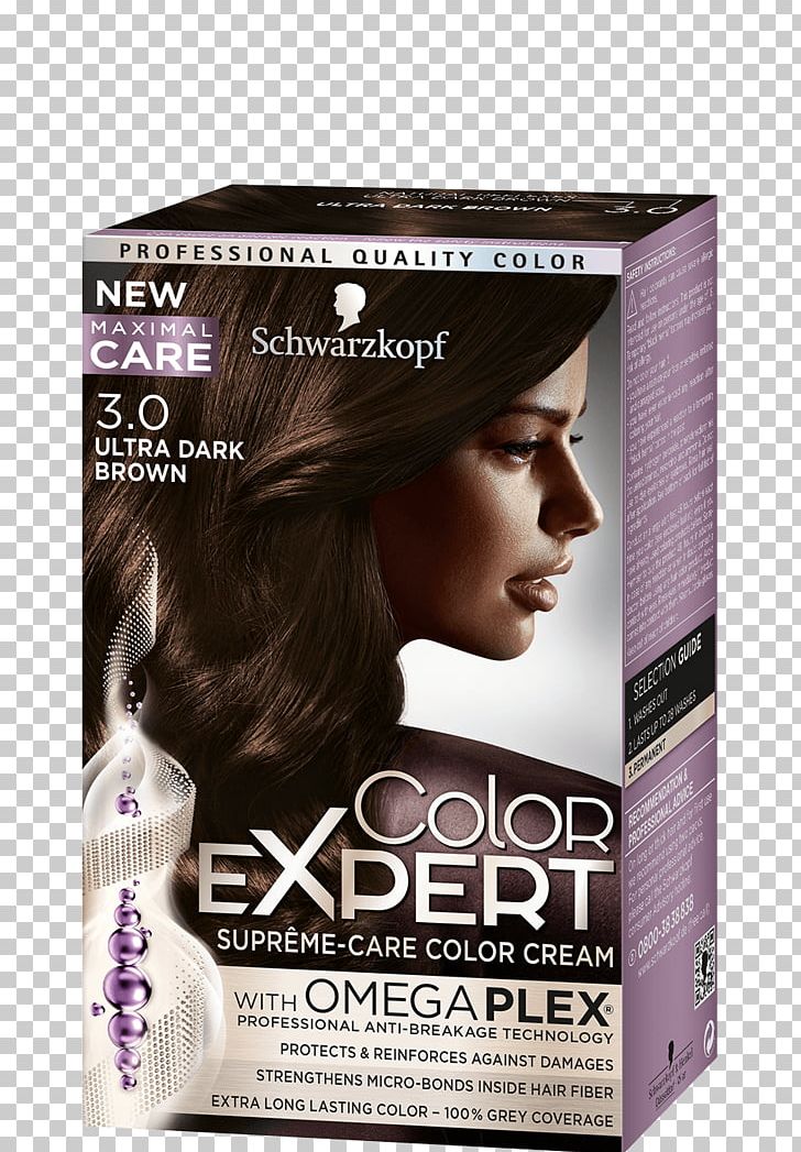 Hair Coloring Schwarzkopf Blond Chestnut PNG, Clipart,  Free PNG Download