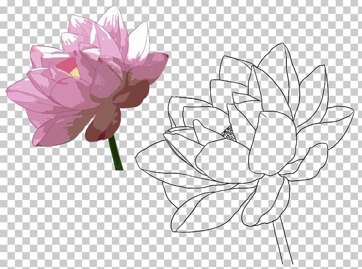 Nelumbo Nucifera Croquis Drawing Line PNG, Clipart, Black And White, Croquis, Cut Flowers, Drawing, Floristry Free PNG Download