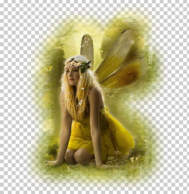 Fairy Tale Elf Duende Yōsei PNG, Clipart, Angel, Duende, Elf, Elf Maiden, Fairy Free PNG Download