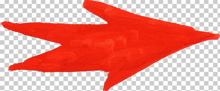 Marine Mammal Fish PNG, Clipart, Animals, Fin, Fish, Mammal, Marine Mammal Free PNG Download