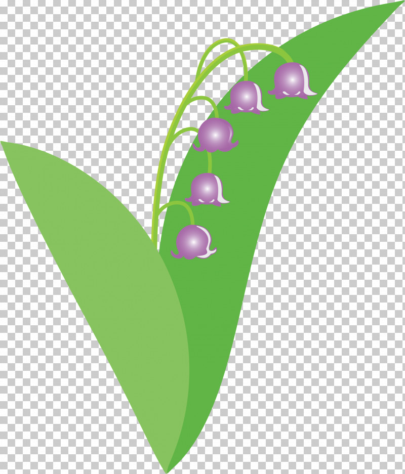Lily Bell Flower PNG, Clipart, Flower, Leaf, Lily Bell, Lily Of The Valley, Logo Free PNG Download