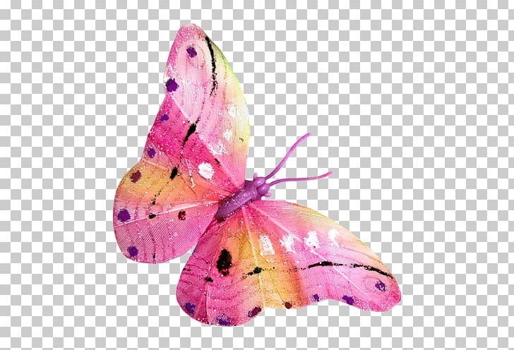 Butterfly PNG, Clipart, Arthropod, Blog, Blue, Brush Footed Butterfly, Butterflies And Moths Free PNG Download