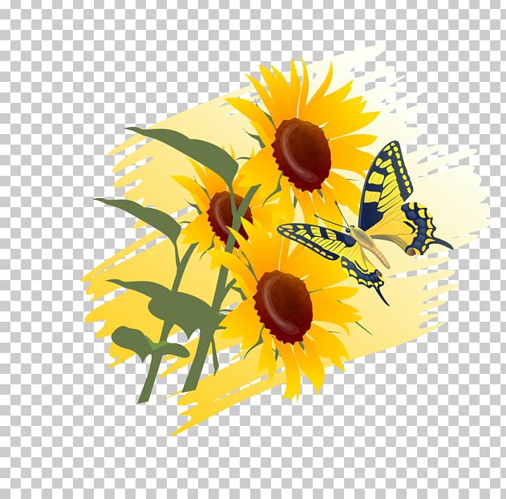 Common Sunflower Photography PNG, Clipart, Beautiful Vector, Daisy Family, Flower, Flower Arranging, Flowers Free PNG Download