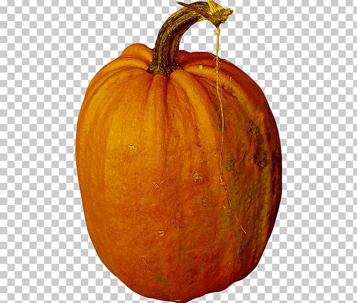Jack-o-lantern Calabaza Pumpkin Gourd Winter Squash PNG, Clipart, Commodity, Cucumber, Cucumber Gourd And Melon Family, Cucurbita, Download Free PNG Download