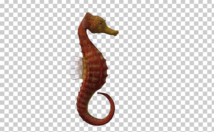 Seahorse Animal 3D Computer Graphics PNG, Clipart, 3d Animals, 3d Cartoon Fish, 3d Computer Graphics, Albom, Animal Free PNG Download