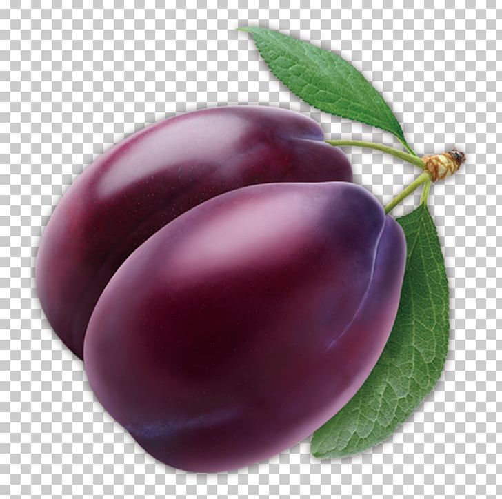 Thai Eggplant Vegetable Computer File PNG, Clipart, Cartoon Eggplant, Download, Eggplant, Eggplant Cartoon, Eggplant Seed Free PNG Download