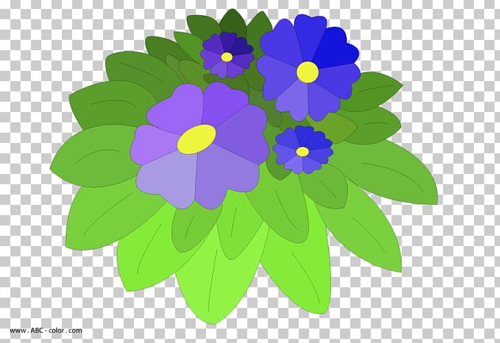 Violet Drawing Viola Reichenbachiana Information PNG, Clipart, Annual Plant, Cornuta, Drawing, Flora, Floral Design Free PNG Download