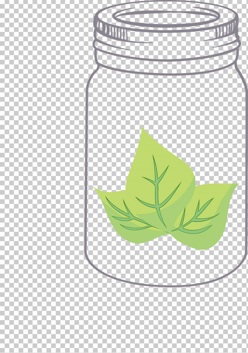 Leaf Green Tree Plants Plant Structure PNG, Clipart, Biology, Green, Leaf, Mason Jar, Paint Free PNG Download