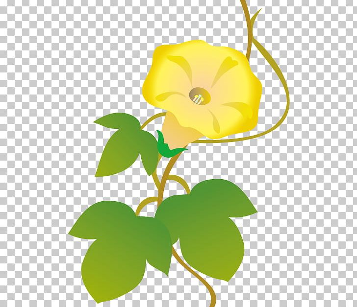 Japanese Morning Glory Flower Floral Design PNG, Clipart, Annual Plant, Art, Branch, Chigirie, Flora Free PNG Download
