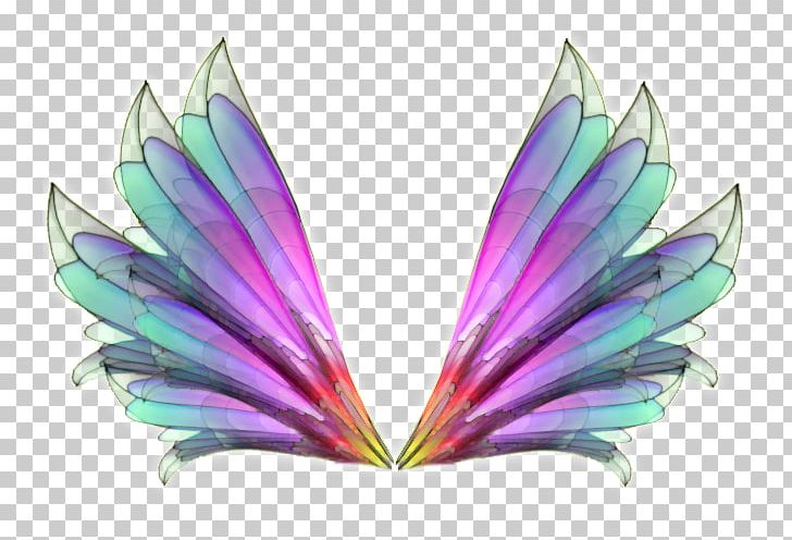 PicsArt Photo Studio Photography Drawing Instagram PNG, Clipart, Aile, Animation, Art, Blog, Butterfly Free PNG Download