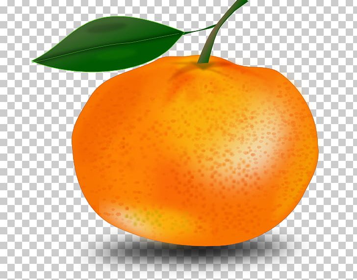 Tangerine Mandarin Orange PNG, Clipart, Bitter Orange, Chenpi, Citric Acid, Citrus, Clementine Free PNG Download