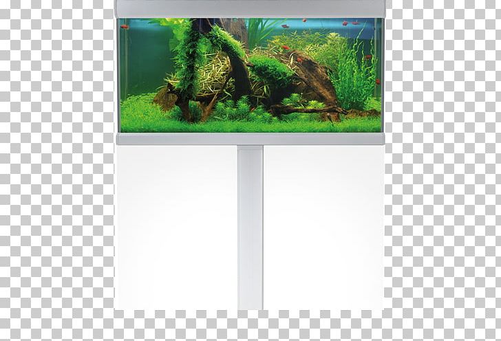 Aquariums Akva Stabil Price White PNG, Clipart, Akvariebutikken, Aquaria Veldhuis, Aquarium, Aquariums, Denmark Free PNG Download