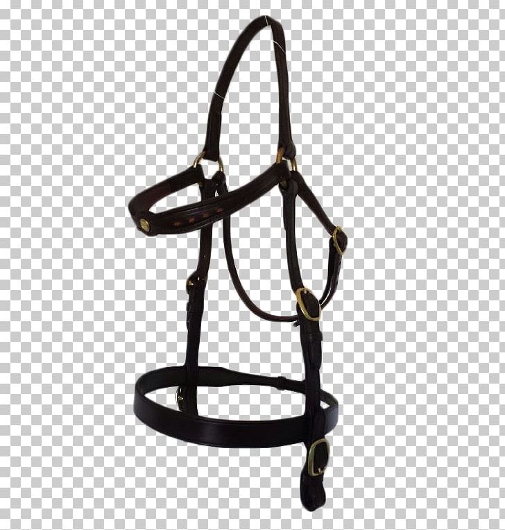Bridle Longeing Cavesson Horse Tack Bit Halter PNG, Clipart,  Free PNG Download