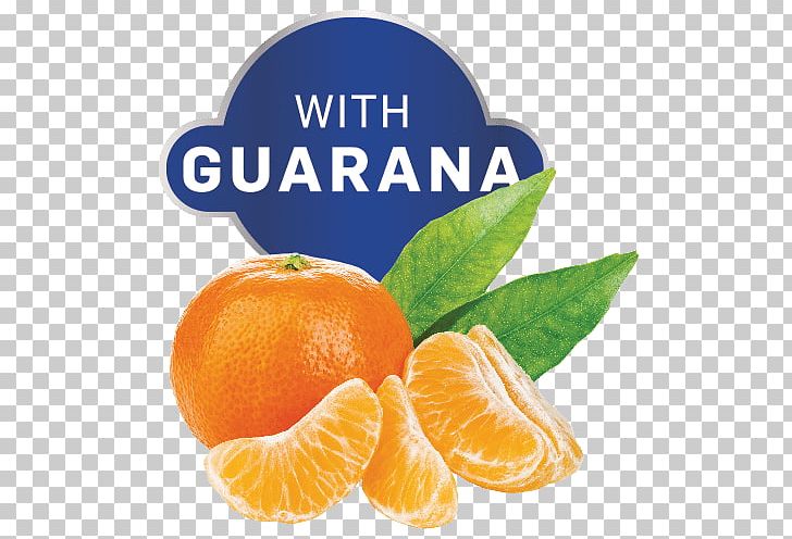 Clementine Mandarin Orange Tangerine Blood Orange PNG, Clipart, Bitter Orange, Blood Orange, Chenpi, Citric Acid, Citrus Free PNG Download