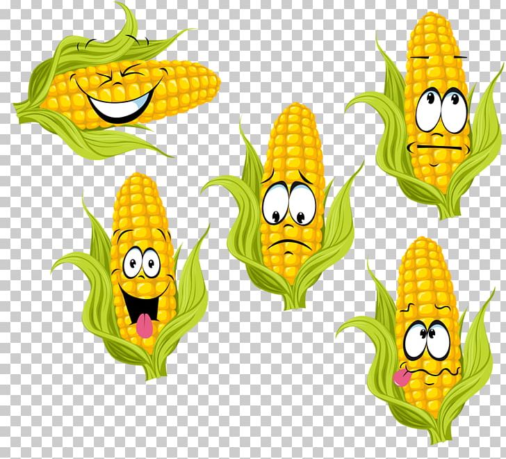 Drawing Fruit Vegetable PNG, Clipart, Cartoon, Commodity, Corn, Corn On The Cob, Drawing Free PNG Download