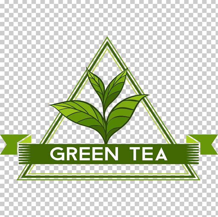 Green Tea Camellia Sinensis PNG, Clipart, Area, Background Green, Black Tea, Brand, Camellia Sinensis Free PNG Download