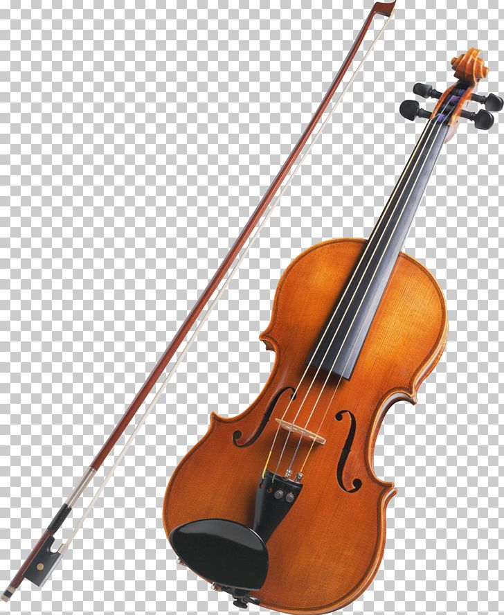 String Instrument Musical Instrument Violin Viola PNG, Clipart, Acoustic Electric Guitar, Banjo, Bass Guitar, Bass Violin, Bow Free PNG Download
