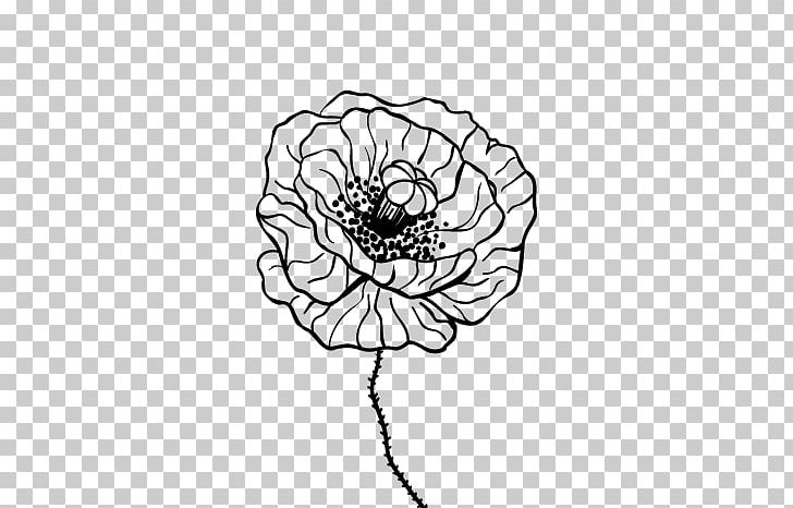 Common Poppy Drawing Painting Coloring Book PNG, Clipart, Artwork, Black, Black And White, Circle, Color Free PNG Download
