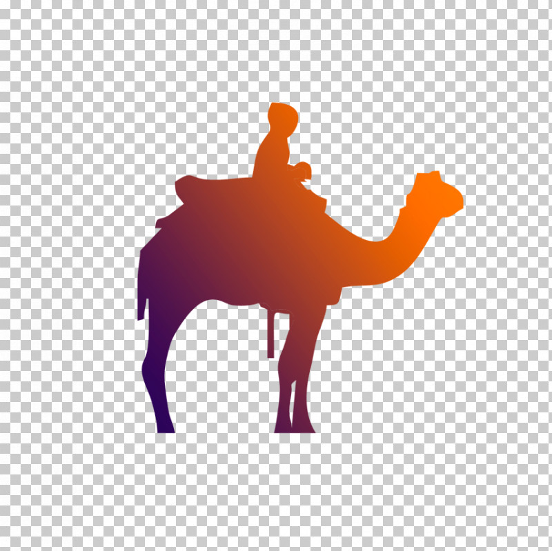 Camel Camelid Arabian Camel Silhouette Livestock PNG, Clipart, Arabian Camel, Bactrian Camel, Camel, Camelid, Landscape Free PNG Download