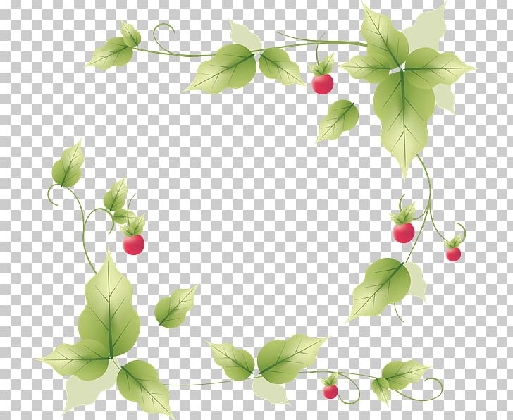 Frames Houseplant Petal PNG, Clipart, Branch, Cozinheiro, Flora, Floral Design, Flower Free PNG Download