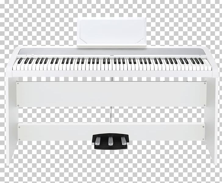 KORG B1SP Korg SP-280 Electronic Keyboard Digital Piano PNG, Clipart, Angle, B 1, Casio Privia Px160, Digital Piano, Elec Free PNG Download