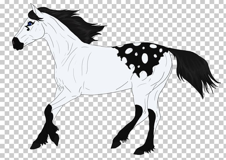 Mule Pony Foal Stallion Halter PNG, Clipart, Bridle, Drawing, Fictional Character, Foal, Halter Free PNG Download