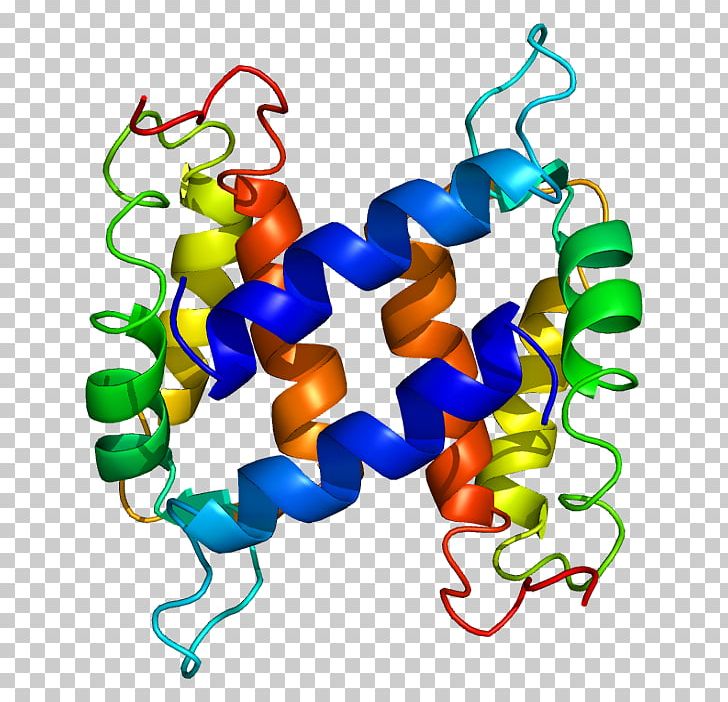 S100A1 S100 Protein S100B Calcium PNG, Clipart, 1 K, Art, Artwork, Binding Protein, Calcium Free PNG Download