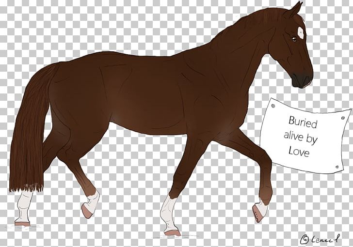 Stallion Mustang Pony Foal Colt PNG, Clipart, Animal Figure, Bridle, Colt, English Riding, Equestrian Free PNG Download