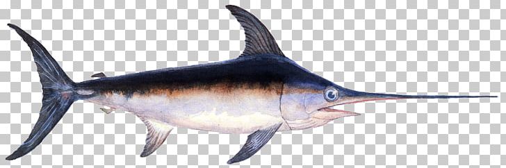 Swordfish Fishing Angling PNG, Clipart, Angling, Animal, Animal Figure, Billfish, Bony Fish Free PNG Download