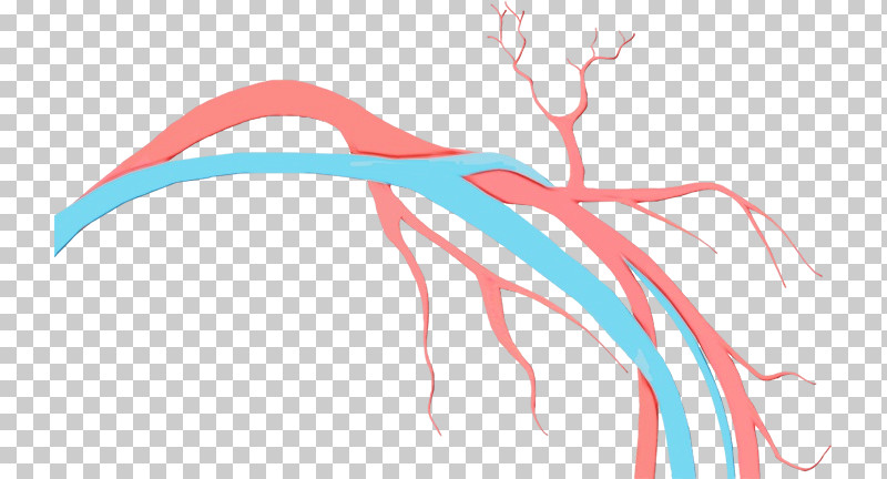 Angiology Vascular Surgery Vein Doppler Ultrasonography Aneurysm PNG, Clipart, Aneurysm, Angiology, Doppler Ultrasonography, Medicine, Paint Free PNG Download