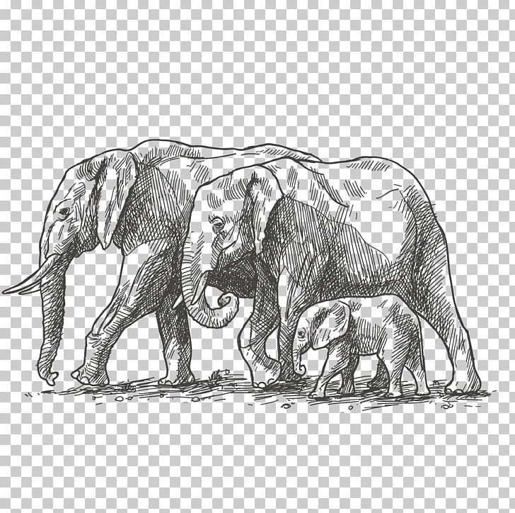 African Elephant World Elephant Day Family Drawing PNG, Clipart, Animal,  Animals, Baby Elephant, Christmas Decoration, Decor